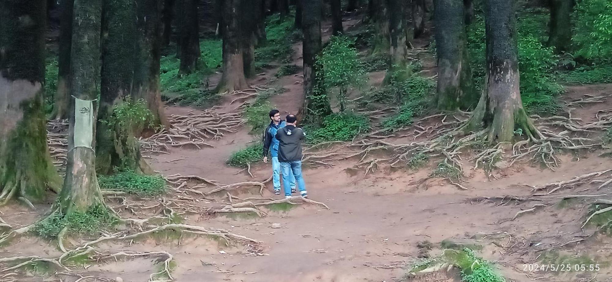Lama Homestay Dardżyling Zewnętrze zdjęcie