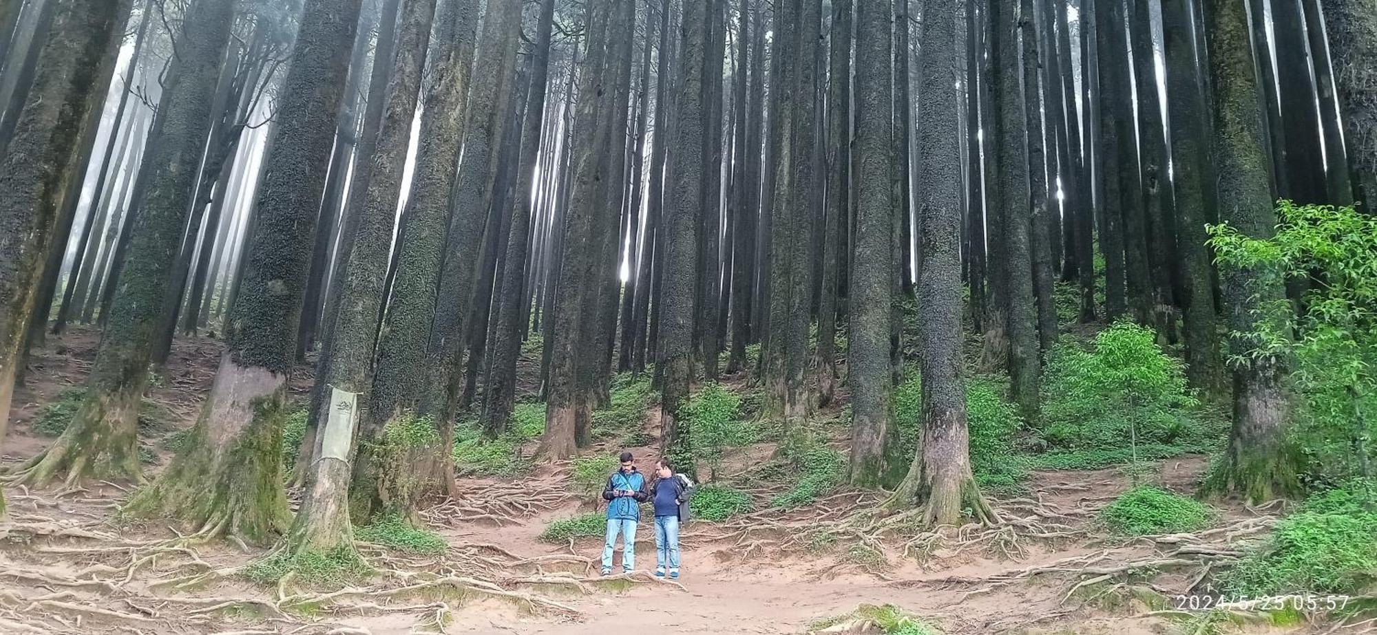 Lama Homestay Dardżyling Zewnętrze zdjęcie